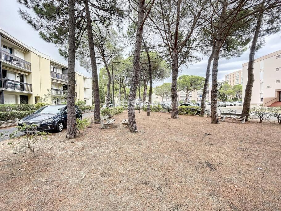 2980-Appartement 1 Ch A 100M De La Mer Argelès-sur-Mer Kültér fotó